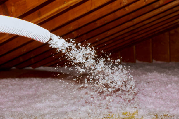 Best Types of Insulation in Genoa, AR