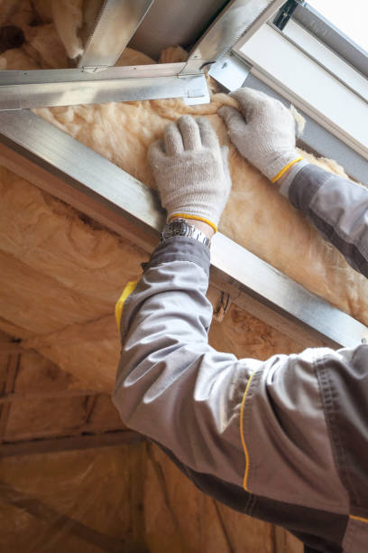 Best Specialty Insulation in Genoa, AR